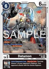 Datamon BT22-060 C